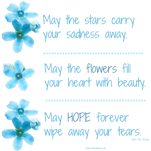 May the stars carry your sadness away, May the flowers fill your heart with beauty, May hope forever wipe away your tears.