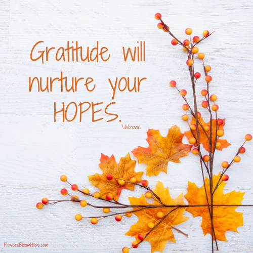 Gratitude will nurture your hopes.