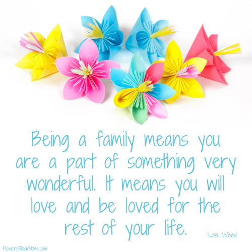 Being a family means you are a part of something very wonderful. It means you will love and be loved for the rest of your life.