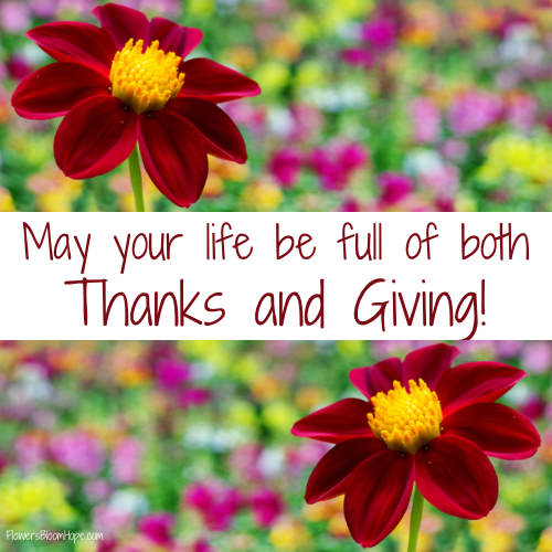 May your life be full of both Thanks and Giving!