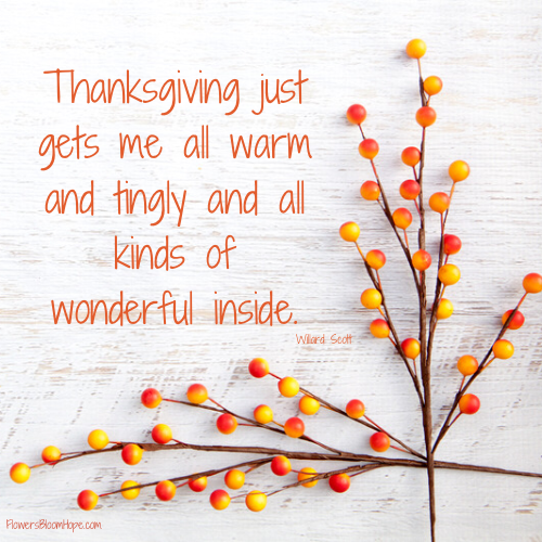 Thanksgiving just gets me all warm and tingly and all kinds of wonderful inside.