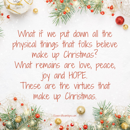 What if we put down all the physical things that folks believe make up Christmas? What remains are love, peace, joy and HOPE. These are the virtues that make up Christmas.