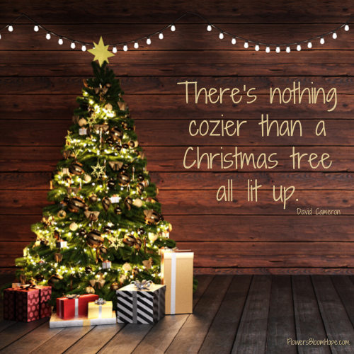 There’s nothing cozier than a Christmas tree all lit up.