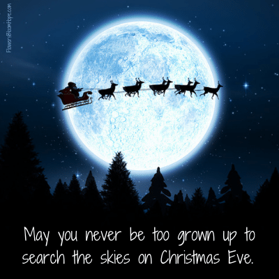 May you never be too grown up to search the skies on Christmas Eve.