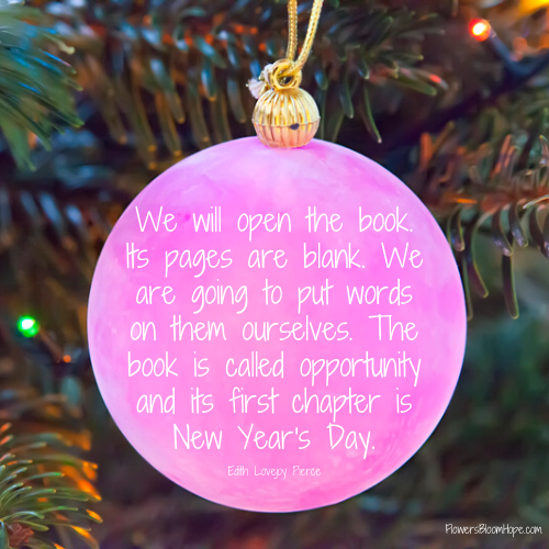 We will open the book. Its pages are blank. We are going to put words on them ourselves. The book is called opportunity and its first chapter is New Year's Day."
