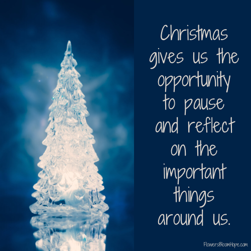 Christmas gives us the opportunity to pause and reflect on the important things around us.