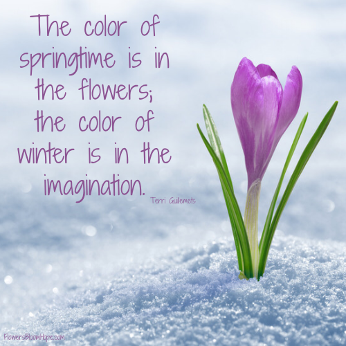 The color of springtime is in the flowers; the color of winter is in the imagination.