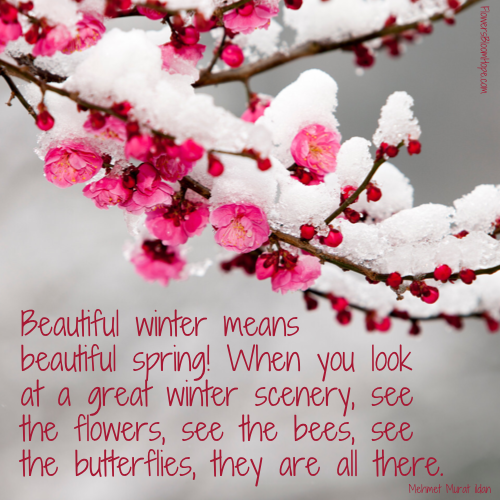Beautiful winter means beautiful spring! When you look at a great winter scenery, see the flowers, see the bees, see the butterflies, they are all there!