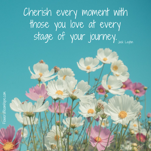 Cherish every moment with those you love at every stage of your journey.