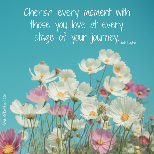 Cherish Every Memory Love Every Moment  | Words Anywhere