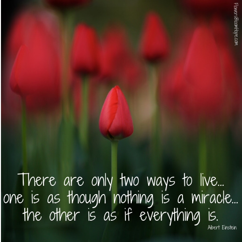 There are only two ways to live…one is as though nothing is a miracle…the other is as if everything is.