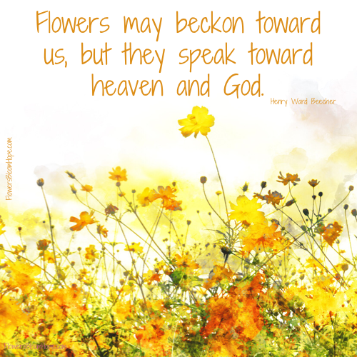 Flowers may beckon toward us, but they speak toward heaven and God