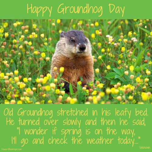 Old Groundhog stretched in his leafy bed. He turned over slowly and then he said, "I wonder if spring is on the way, I'll go and check the weather today..."