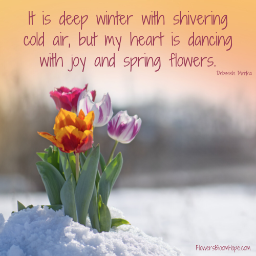 It is deep winter with shivering cold air, but my heart is dancing with joy and spring flowers. Debasish