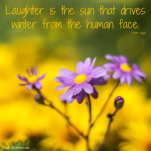 Laughter is the sun that drives winter from the human face.