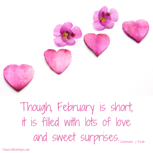 Though, February is short, it is filled with lots of love and sweet surprises.