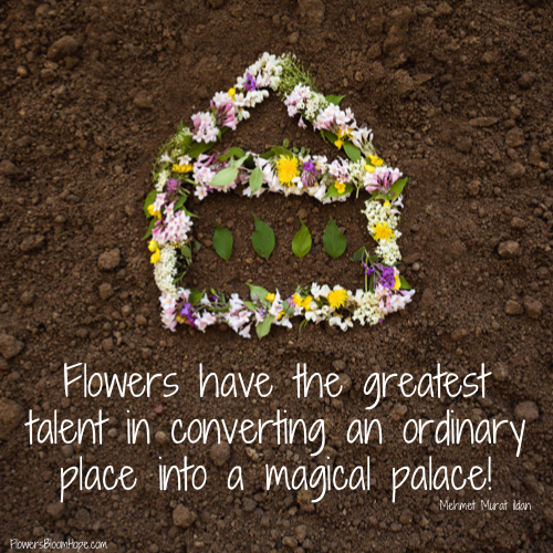 Flowers have the greatest talent in converting an ordinary place into a magical palace!