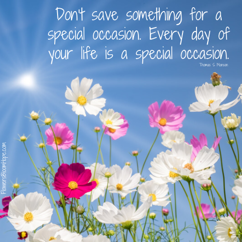 Don’t save something for a special occasion. Every day of your life is a special occasion.