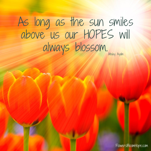 As long as the sun smiles above us our HOPES will always blossom.