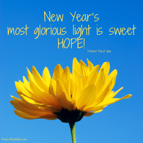 New Year’s most glorious light is sweet HOPE!