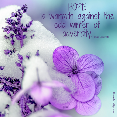 HOPE is warmth against the cold winter of adversity.