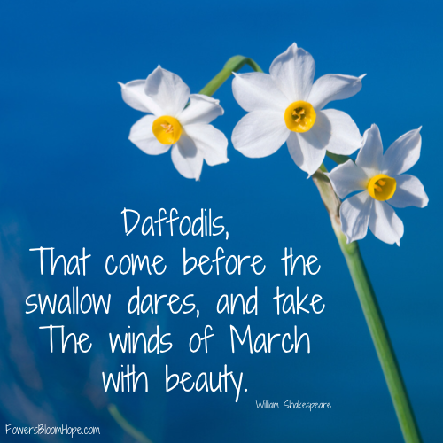 Daffodils, That come before the swallow dares, and take The winds of March with beauty.