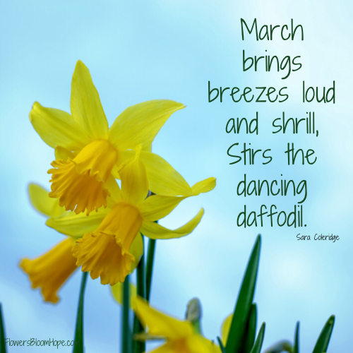 March brings breezes loud and shrill, Stirs the dancing daffodil.
