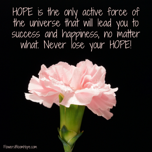 Hope is the only active force of the universe that will lead you to success and happiness, no matter what. Never lose your HOPE!