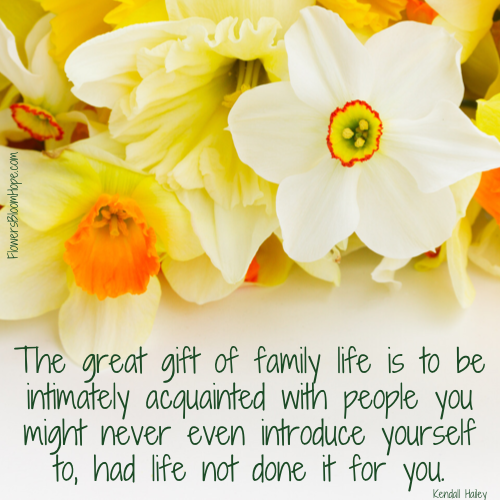 The great gift of family life is to be intimately acquainted with people you might never even introduce yourself to, had life not done it for you.