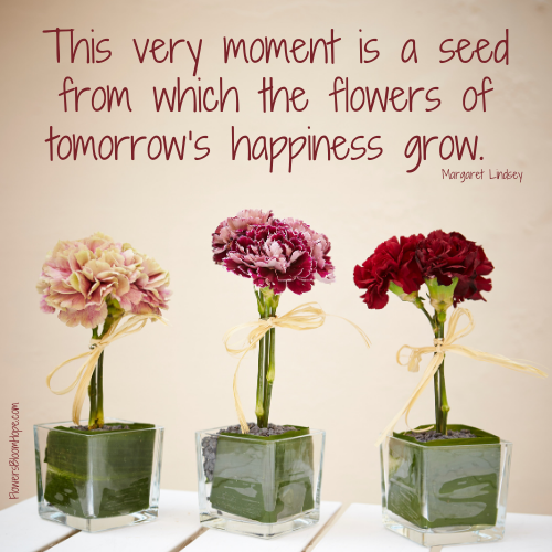 This very moment is a seed from which the flowers of tomorrow’s happiness grows.