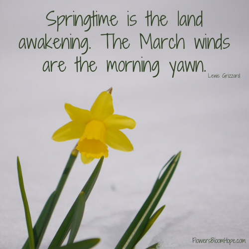 Springtime is the land awakening. The March winds are the morning yawn.