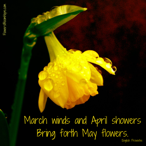 March winds and April showers Bring forth May flowers.