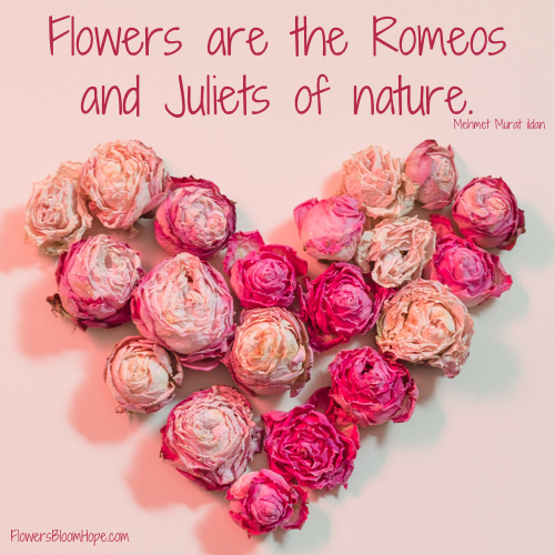 Flowers are the Romeos and Juliets of nature.