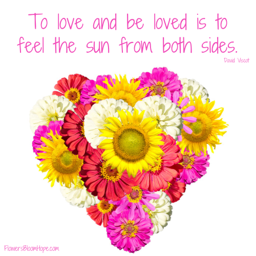 To love and be loved is to feel the sun from both sides.