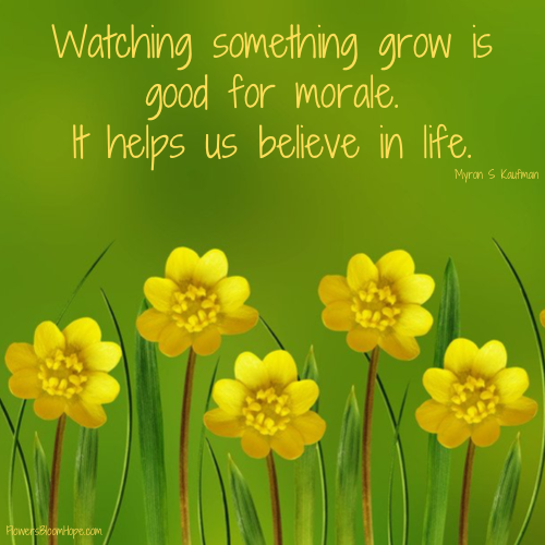 Watching something grow is good for morale. It helps us believe in life