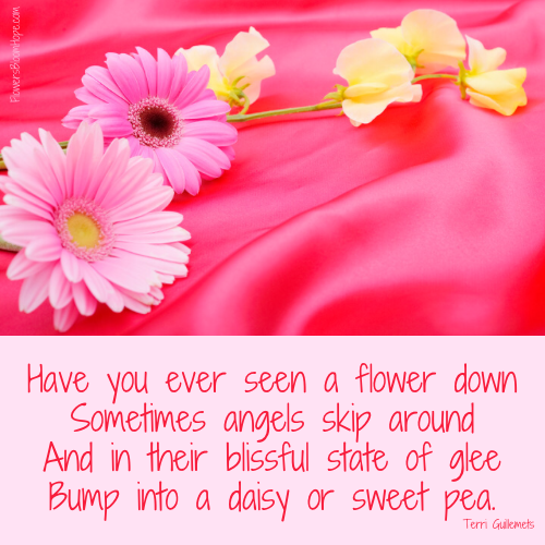 Have you ever seen a flower down Sometimes angels skip around And in their blissful state of glee Bump into a daisy or a sweet pea.