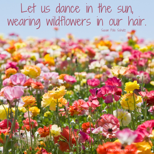 Let us dance in the sun, wearing wildflowers in our hair.