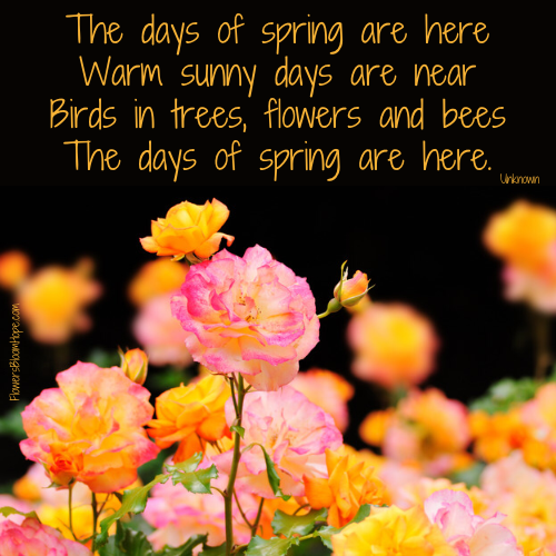The days of spring are here Warm sunny days are near Birds in trees, flowers and bees The days of spring are here.