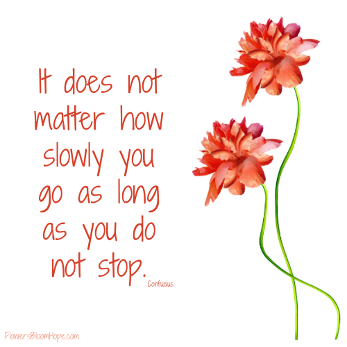 It does not matter how slowly you go as long as you do not stop.