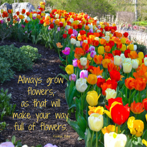 Always grow flowers, as that will make your way full of flowers.