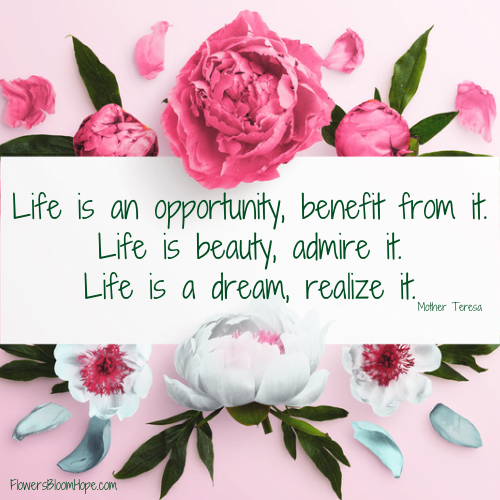 Life is an opportunity, benefit from it. Life is beauty, admire it. Life is a dream, realize it.