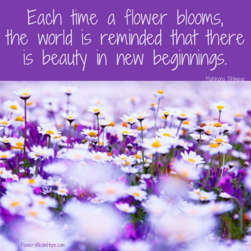 Each time a flower blooms, the world is reminded that there is beauty in new beginnings.