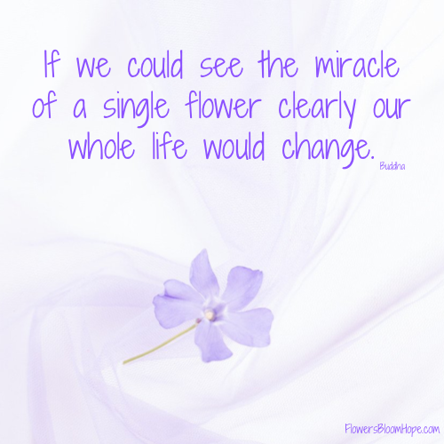 If we could see the miracle of a single flower clearly our whole life would change.