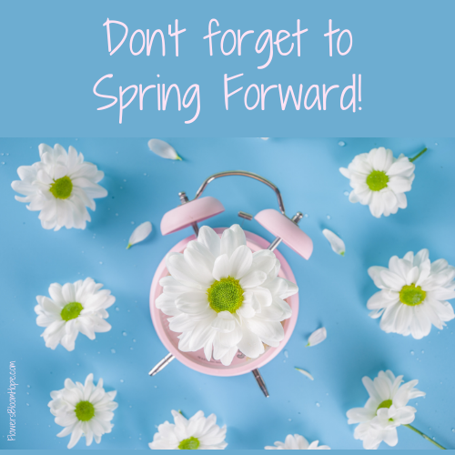 Don't forget to spring forward!