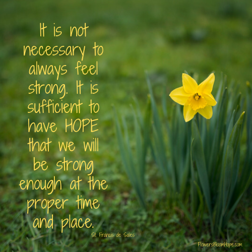 It is not necessary to always feel strong. It is sufficient to have HOPE that we will be strong enough at the proper time and place.