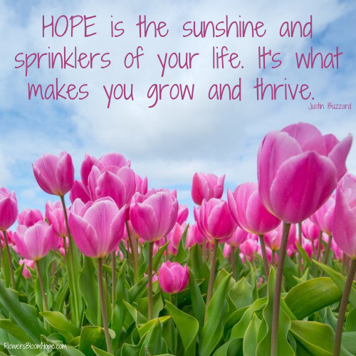HOPE is the sunshine and sprinklers of your life. It's what makes you grow and thrive.