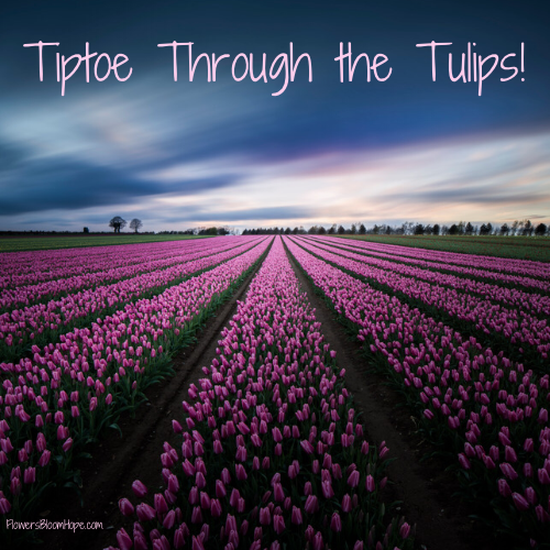 Tiptoe through the tulips!