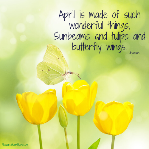 April is made of such wonderful things, Sunbeams and tulips and butterfly wings.