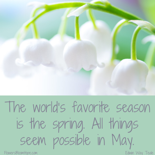 The world’s favorite season is the spring. All things seem possible in May.