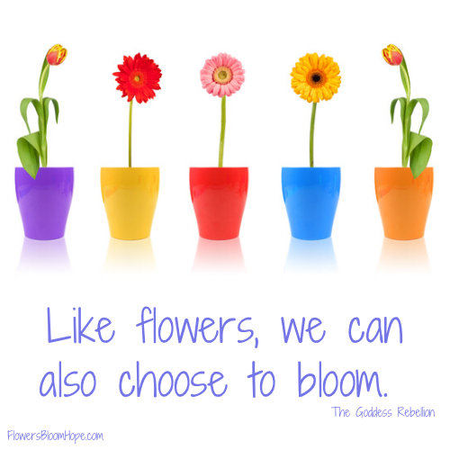 Like flowers, we can also choose to bloom.